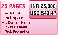 25 Pages Website Design Special Offer
